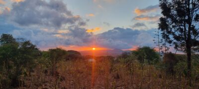 Gongali Village Camp (Home Stay)