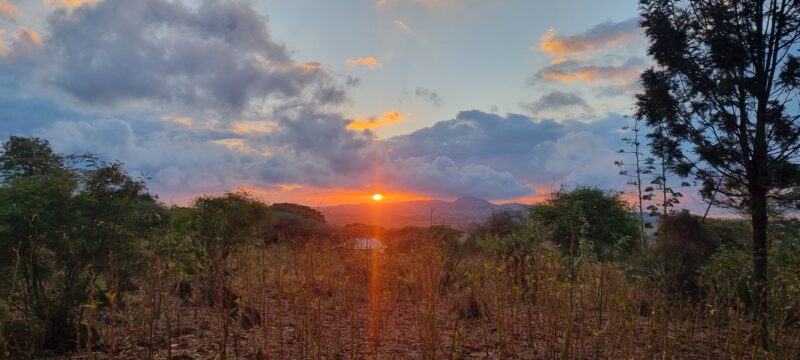 Gongali Village Camp (Home Stay)